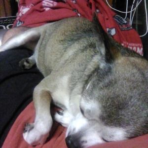 Meet your Posher, Robert